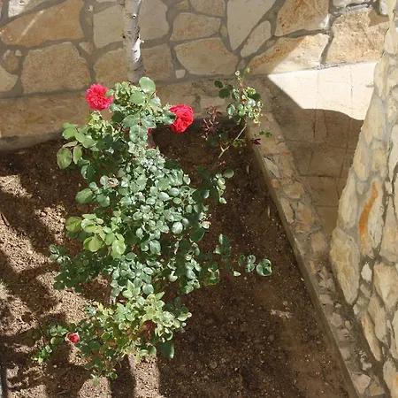 Apartmán Laura 1 Ražanac