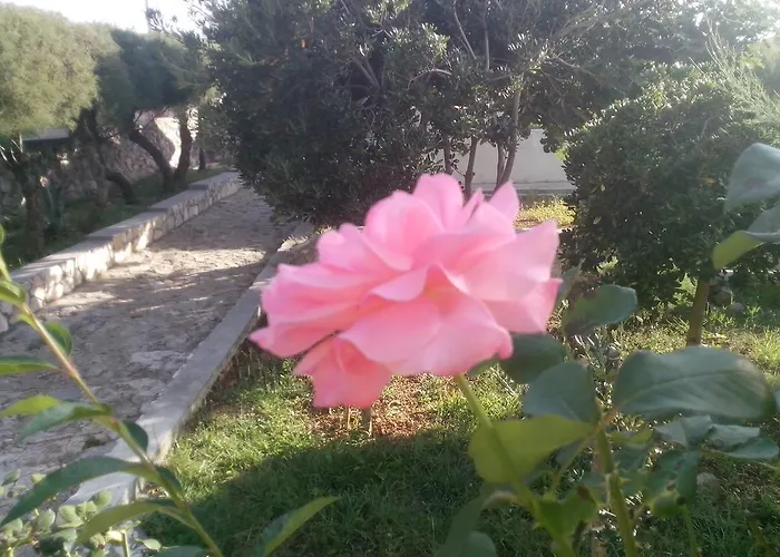 Apartman Laura 1 Ražanac